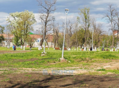 У шахтинцев появились вопросы по поводу новых фонарей в Александровском парке