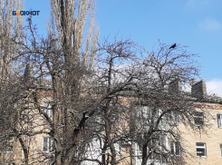 Будет ясно и без осадков, с переменной облачностью