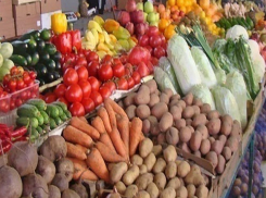 В Шахты привезут дешевые и натуральные продукты питания