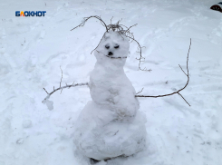 К ночи прогнозируется похолодание до -10°C