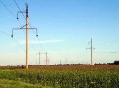 Расчистят почти 300 гектаров трасс ЛЭП: в том числе и территории шахтинских линий электропередачи