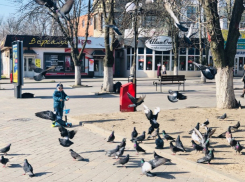 «Птицы гнезда делят»: погода в Шахтах и приметы дня