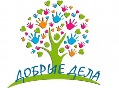 Понедельник в Ростовской области объявлен «Днем добрых дел»: участие примут и шахтинцы