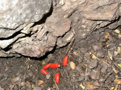 51-летнего мужчину задержали в Шахтах по дороге к «закладке»