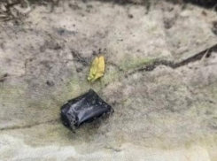 Шахтинца поймали по пути к тайнику за наркотическими веществами