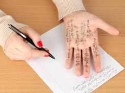 Всего лишь трое 11-классников города получили высший бал на ЕГЭ