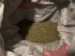 Задержали подозреваемого в хранении наркотиков в Шахтах 