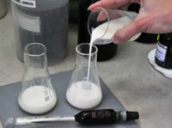 В Ростовской области обнаружена крупная партия молока с тетрациклином