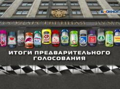 Предварительное голосование подарило россиянам четырехпартийную Думу