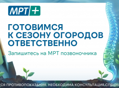 Весенняя забота о позвоночнике: зачем делать МРТ перед началом огородных работ?