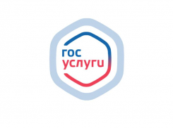 Теперь на госуслугах можно регистрироваться с 14 лет 