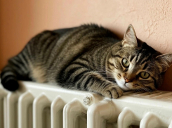 Отопительный сезон в Шахтах завершат 15 апреля