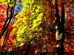 Все ненужное - в топку: лунный календарь для шахтинцев