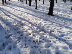 К ночи потеплеет до +6°C