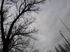 Непогода продолжается, электропровода – рвутся: в шахтинском филиале «Донэнерго» сообщили о работе в режиме повышенной готовности