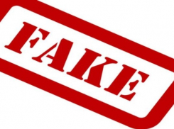 Ты меня уважаешь? Как шахтинцы относятся к законам о фейках и неуважению к власти?