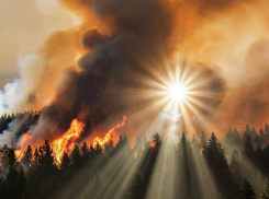 В Ростовской области объявлен наивысший, пятый класс пожарной опасности