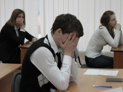 Шахтинские школьники сдали ЕГЭ по математике 