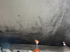 Плесень на 14 этажей вверх в затопленном доме — как жители Шахт выживают без ремонта уже 30 лет