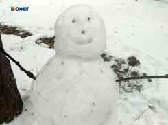 Сегодня погода снова будет снежной и дождливой
