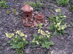 Солнце на этот раз шахтинцев сможет порадовать лишь днем и то ненадолго