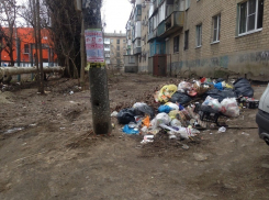 За три месяца в центре Шахт выросла огромная свалка