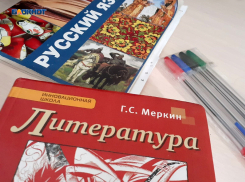 Чуть менее ста эвакуированных из Донбасса детей посещают шахтинские школы