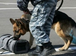 В Шахтах из-за бесхозной сумки эвакуировали персонал и посетителей Сбербанка