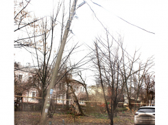 Пока аварийный столб не упадет, департамент городского хозяйства не перекрестится 