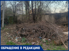 Мусор – старожил: больше 2 лет в центре Шахт лежит куча веток