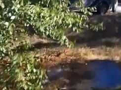 Из тепловой трубы уже два месяца течет вода, заливая детскую площадку в Шахтах