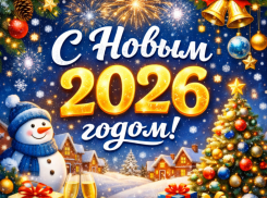 С Новым годом, дорогие читатели «Блокнота»!