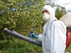 В Шахтах второй раз провели противоклещевую обработку