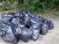 Шахтинцы наводят марафет на улицах