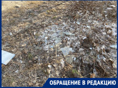 Всё в стёклах и мусоре, дети на это смотрят: Александр Щербаков