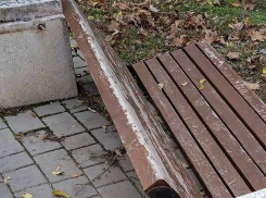 Жители Шахт обеспокоены состоянием Неждановского парка