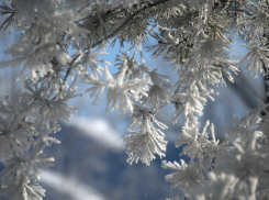 О погоде в Шахтах сегодня и на выходные 