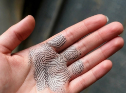 В Ростовской области за год более 600 преступлений раскрыли благодаря отпечаткам пальцев и ладоней