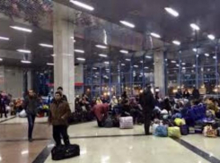 В Ростовскую область по госпрограмме переселилось более 2000 россиян