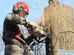 В Шахтах 19 декабря не будет электричества 