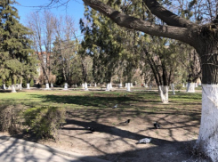 «Стели красна по заморозкам»: погода в Шахтах и примета дня 