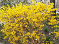 Во вторник в Шахтах возможен дождь, небо затянет тучами