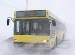 На Рождество в Шахтах запустят дополнительные автобусы и маршрутки