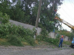 После обрезки деревьев шахтинские энергетики оставили кучи мусора