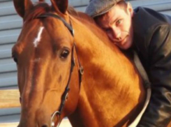 Как на Дону убивали лучший в стране конезавод и резали на колбасу элитные породы коней