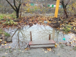 Многолетний порыв питьевой воды шахтинцы используют для полива огорода