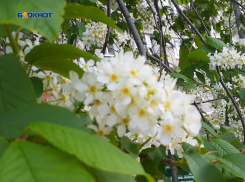 Сильный ветер и дождь обещают синоптики шахтинцам в четверг