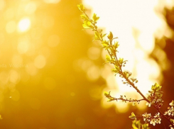 Шахтинцев ожидает солнечная и теплая Пасхальная неделя