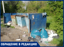 Мусорные баки опустошают, а вокруг не убирают: жительница Петровки Светлана рассказала о многолетней свалке