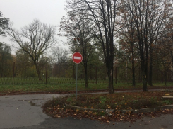 В Шахтах запретят останавливаться у Александровского парка